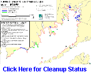 Oil spill cleanup status map.
