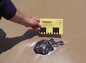 photo of a tarball on a beach