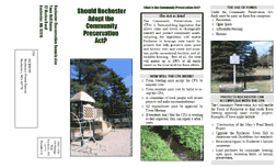  Rochester CPA Brochure