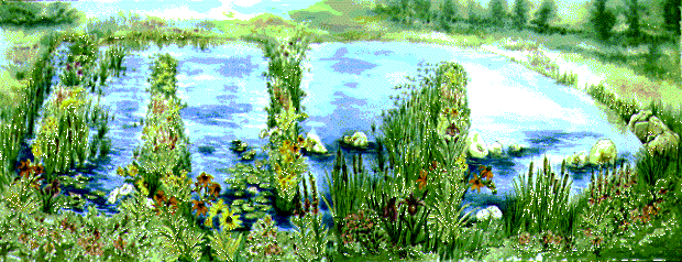 Spragues Cove artist rendering