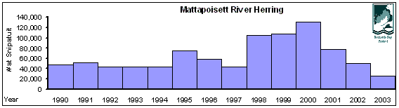 Mattapoisett River herring counts.
