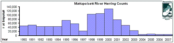 Frequency histogram of herring abundance on the Mattapoisett River.