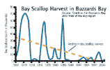 thumbnail of scallop catch changes