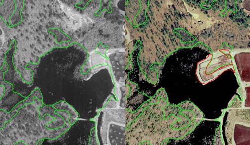 Wetland Loss Associated with Cranberry Bog Expansion in Carver.