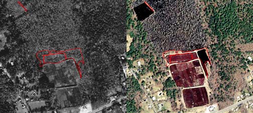 Wetland Loss Associated with Cranberry Bog activity.