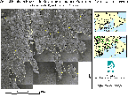 thumbnail of vernal pool map in Fairhaven